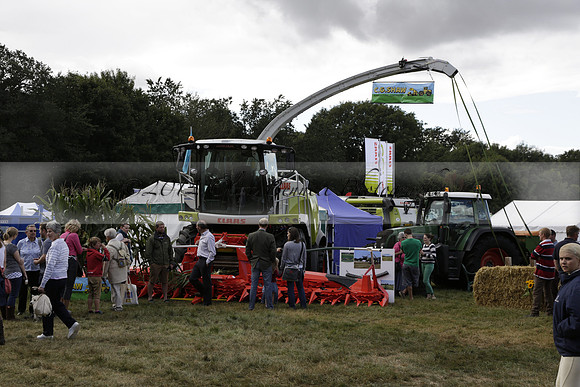 The Alresford Agricultural Show Tichbourne on Saturday 2013.09.07 www.polopictures.co.uk