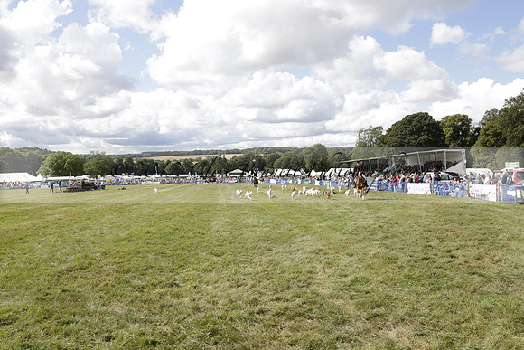 The Alresford Agricultural Show Tichbourne on Saturday 2013.09.07 www.polopictures.co.uk