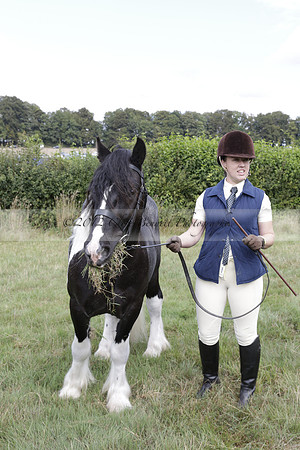 The Alresford Agricultural Show Tichbourne on Saturday 2013.09.07 www.polopictures.co.uk