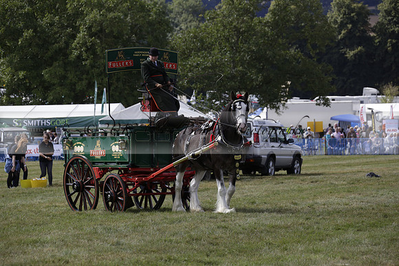 The Alresford Agricultural Show Tichbourne on Saturday 2013.09.07 www.polopictures.co.uk