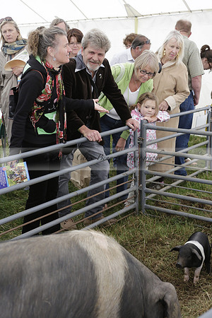The Alresford Agricultural Show Tichbourne on Saturday 2013.09.07 www.polopictures.co.uk