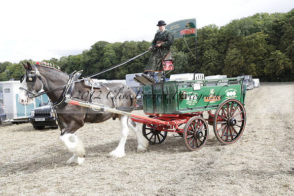 The Alresford Agricultural Show Tichbourne on Saturday 2013.09.07 www.polopictures.co.uk
