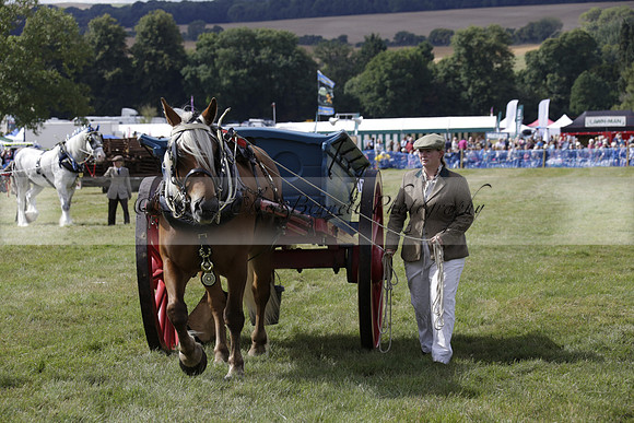 The Alresford Agricultural Show Tichbourne on Saturday 2013.09.07 www.polopictures.co.uk