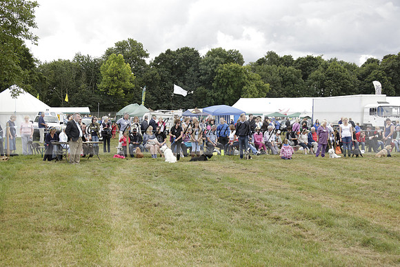 The Alresford Agricultural Show Tichbourne on Saturday 2013.09.07 www.polopictures.co.uk