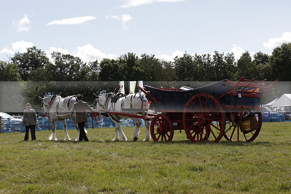 The Alresford Agricultural Show Tichbourne on Saturday 2013.09.07 www.polopictures.co.uk