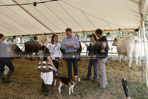 The Alresford Agricultural Show Tichbourne on Saturday 2013.09.07 www.polopictures.co.uk