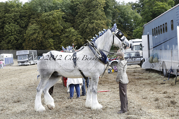 The Alresford Agricultural Show Tichbourne on Saturday 2013.09.07 www.polopictures.co.uk