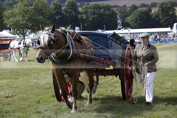 The Alresford Agricultural Show Tichbourne on Saturday 2013.09.07 www.polopictures.co.uk