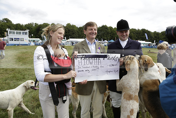 The Alresford Agricultural Show Tichbourne on Saturday 2013.09.07 www.polopictures.co.uk