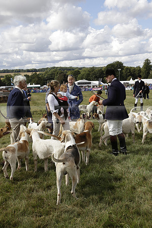 The Alresford Agricultural Show Tichbourne on Saturday 2013.09.07 www.polopictures.co.uk