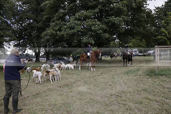 The Alresford Agricultural Show Tichbourne on Saturday 2013.09.07 www.polopictures.co.uk