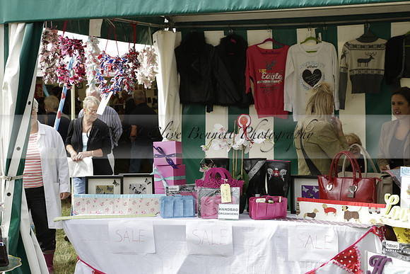The Alresford Agricultural Show Tichbourne on Saturday 2013.09.07 www.polopictures.co.uk