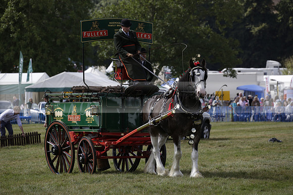 The Alresford Agricultural Show Tichbourne on Saturday 2013.09.07 www.polopictures.co.uk