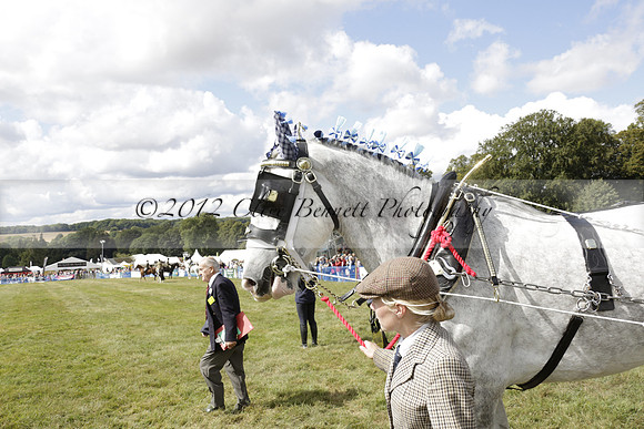 The Alresford Agricultural Show Tichbourne on Saturday 2013.09.07 www.polopictures.co.uk