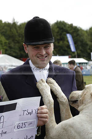The Alresford Agricultural Show Tichbourne on Saturday 2013.09.07 www.polopictures.co.uk