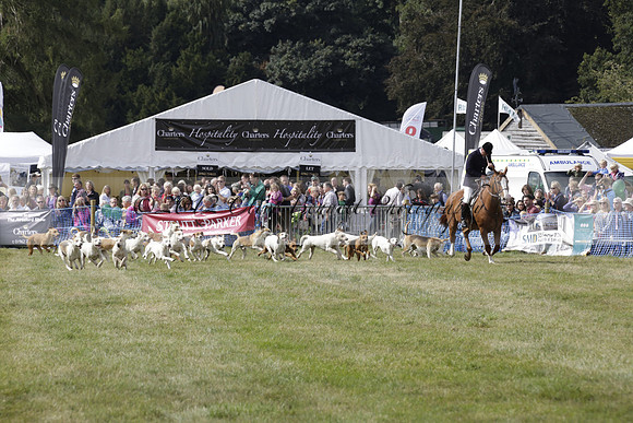 The Alresford Agricultural Show Tichbourne on Saturday 2013.09.07 www.polopictures.co.uk