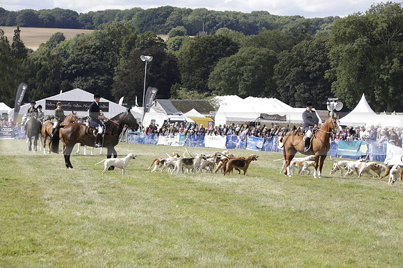 The Alresford Agricultural Show Tichbourne on Saturday 2013.09.07 www.polopictures.co.uk