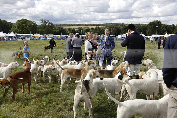 The Alresford Agricultural Show Tichbourne on Saturday 2013.09.07 www.polopictures.co.uk
