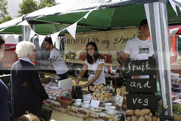 The Alresford Agricultural Show Tichbourne on Saturday 2013.09.07 www.polopictures.co.uk