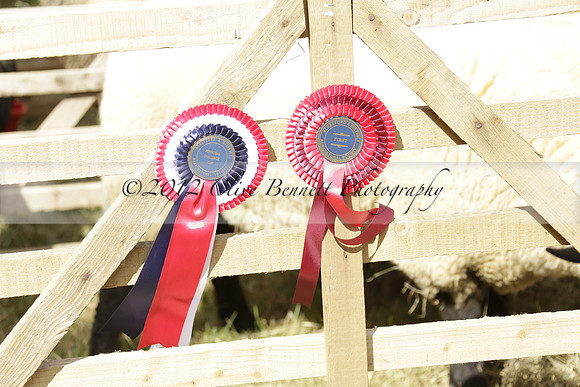 The Alresford Agricultural Show Tichbourne on Saturday 2013.09.07 www.polopictures.co.uk