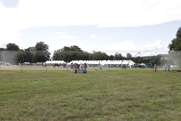 The Alresford Agricultural Show Tichbourne on Saturday 2013.09.07 www.polopictures.co.uk