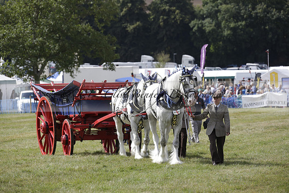 The Alresford Agricultural Show Tichbourne on Saturday 2013.09.07 www.polopictures.co.uk