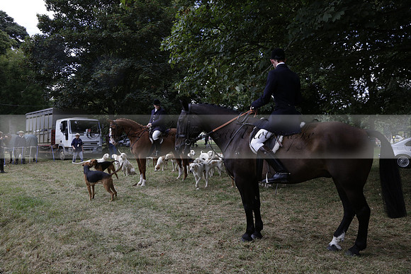 The Alresford Agricultural Show Tichbourne on Saturday 2013.09.07 www.polopictures.co.uk