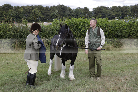 The Alresford Agricultural Show Tichbourne on Saturday 2013.09.07 www.polopictures.co.uk