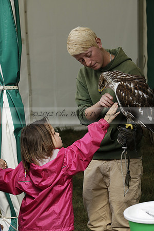 The Alresford Agricultural Show Tichbourne on Saturday 2013.09.07 www.polopictures.co.uk