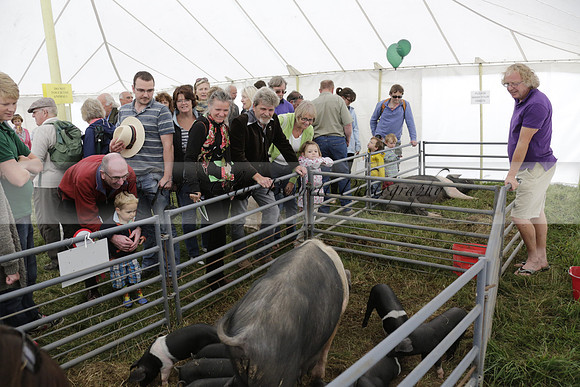The Alresford Agricultural Show Tichbourne on Saturday 2013.09.07 www.polopictures.co.uk