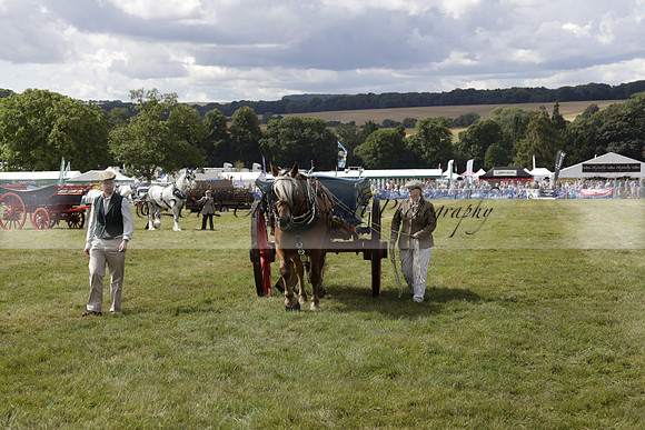 The Alresford Agricultural Show Tichbourne on Saturday 2013.09.07 www.polopictures.co.uk