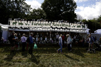 The Alresford Agricultural Show Tichbourne on Saturday 2013.09.07 www.polopictures.co.uk