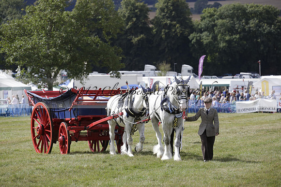 The Alresford Agricultural Show Tichbourne on Saturday 2013.09.07 www.polopictures.co.uk