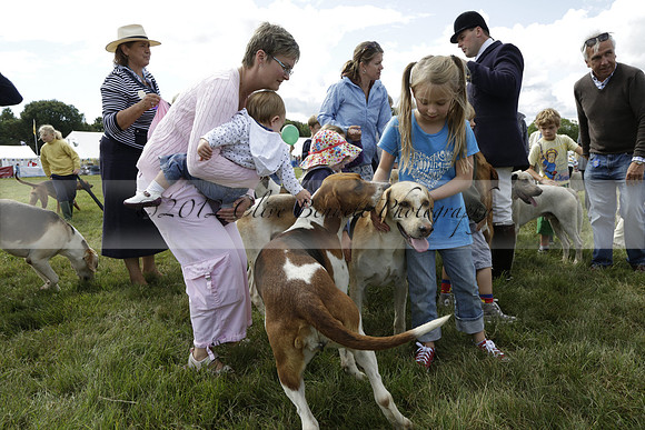 The Alresford Agricultural Show Tichbourne on Saturday 2013.09.07 www.polopictures.co.uk