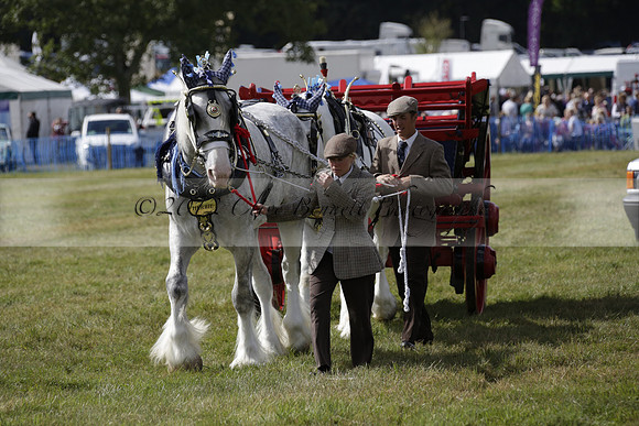 The Alresford Agricultural Show Tichbourne on Saturday 2013.09.07 www.polopictures.co.uk