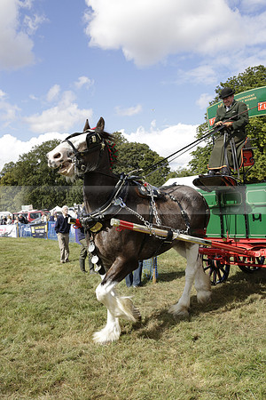 The Alresford Agricultural Show Tichbourne on Saturday 2013.09.07 www.polopictures.co.uk