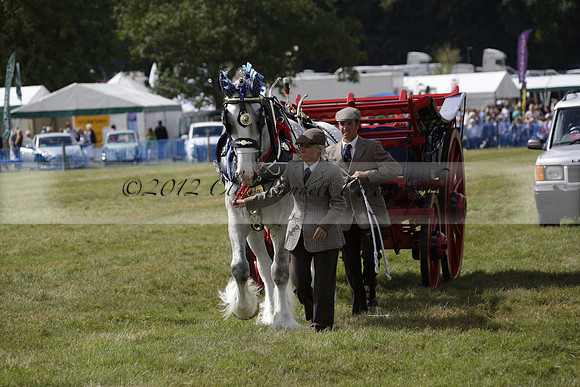 The Alresford Agricultural Show Tichbourne on Saturday 2013.09.07 www.polopictures.co.uk