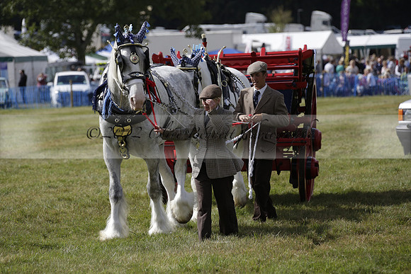 The Alresford Agricultural Show Tichbourne on Saturday 2013.09.07 www.polopictures.co.uk