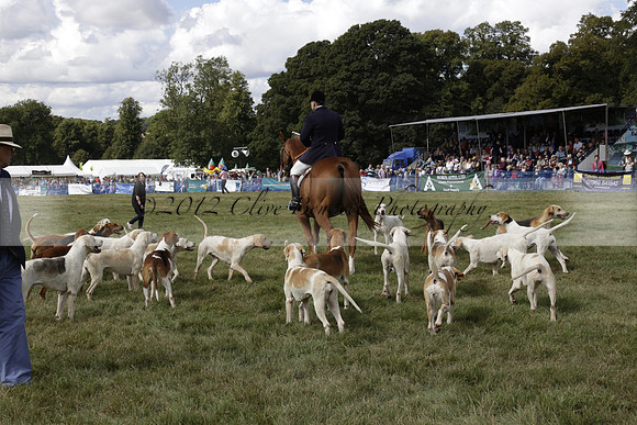 The Alresford Agricultural Show Tichbourne on Saturday 2013.09.07 www.polopictures.co.uk