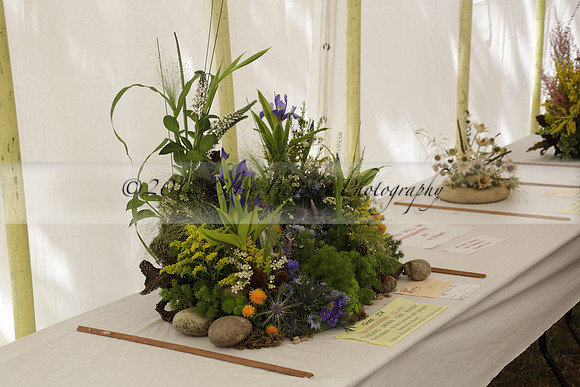 The Alresford Agricultural Show Tichbourne on Saturday 2013.09.07 www.polopictures.co.uk