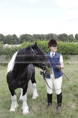 The Alresford Agricultural Show Tichbourne on Saturday 2013.09.07 www.polopictures.co.uk