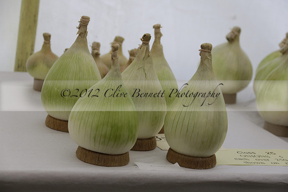 The Alresford Agricultural Show Tichbourne on Saturday 2013.09.07 www.polopictures.co.uk