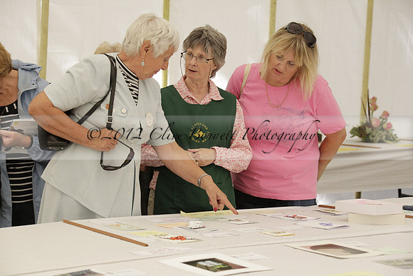 The Alresford Agricultural Show Tichbourne on Saturday 2013.09.07 www.polopictures.co.uk