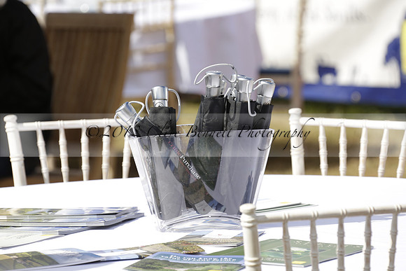 The Alresford Agricultural Show Tichbourne on Saturday 2013.09.07 www.polopictures.co.uk