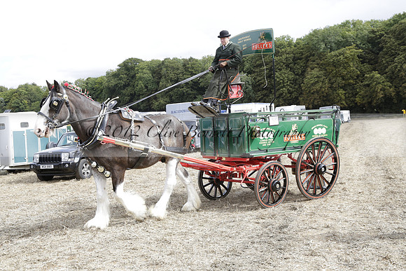 The Alresford Agricultural Show Tichbourne on Saturday 2013.09.07 www.polopictures.co.uk