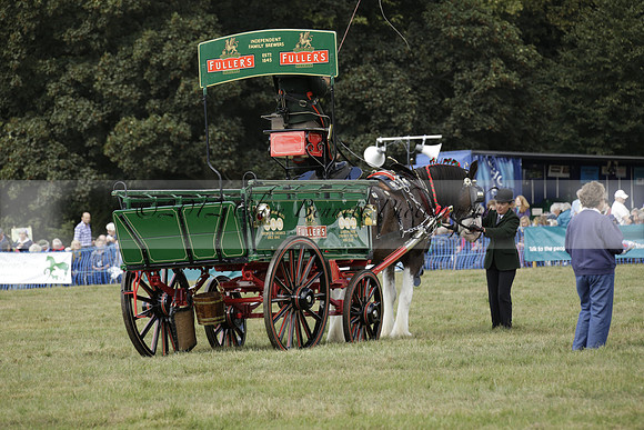 The Alresford Agricultural Show Tichbourne on Saturday 2013.09.07 www.polopictures.co.uk