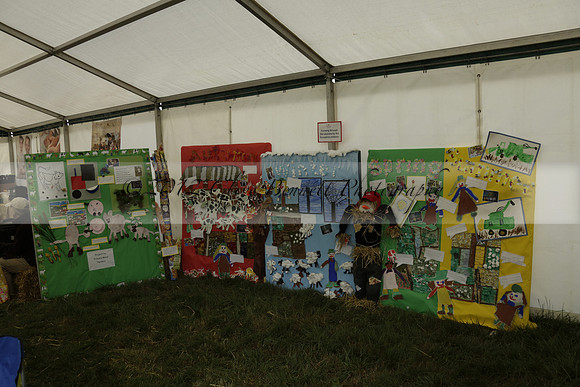The Alresford Agricultural Show Tichbourne on Saturday 2013.09.07 www.polopictures.co.uk