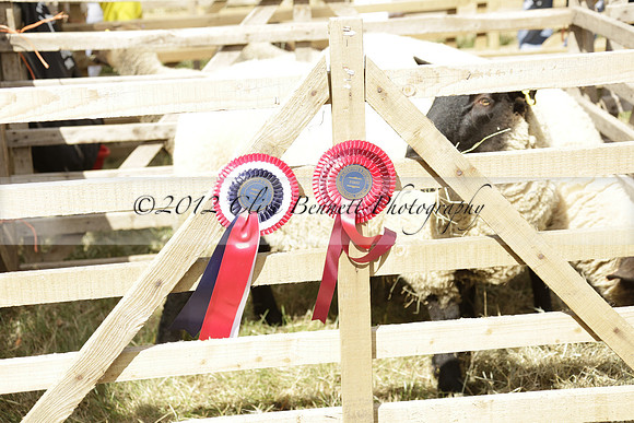 The Alresford Agricultural Show Tichbourne on Saturday 2013.09.07 www.polopictures.co.uk