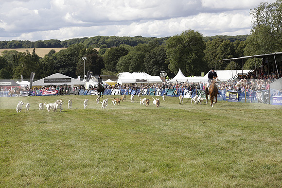 The Alresford Agricultural Show Tichbourne on Saturday 2013.09.07 www.polopictures.co.uk