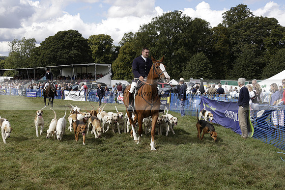 The Alresford Agricultural Show Tichbourne on Saturday 2013.09.07 www.polopictures.co.uk